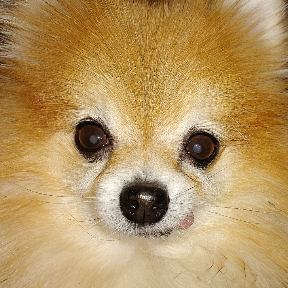 Jude